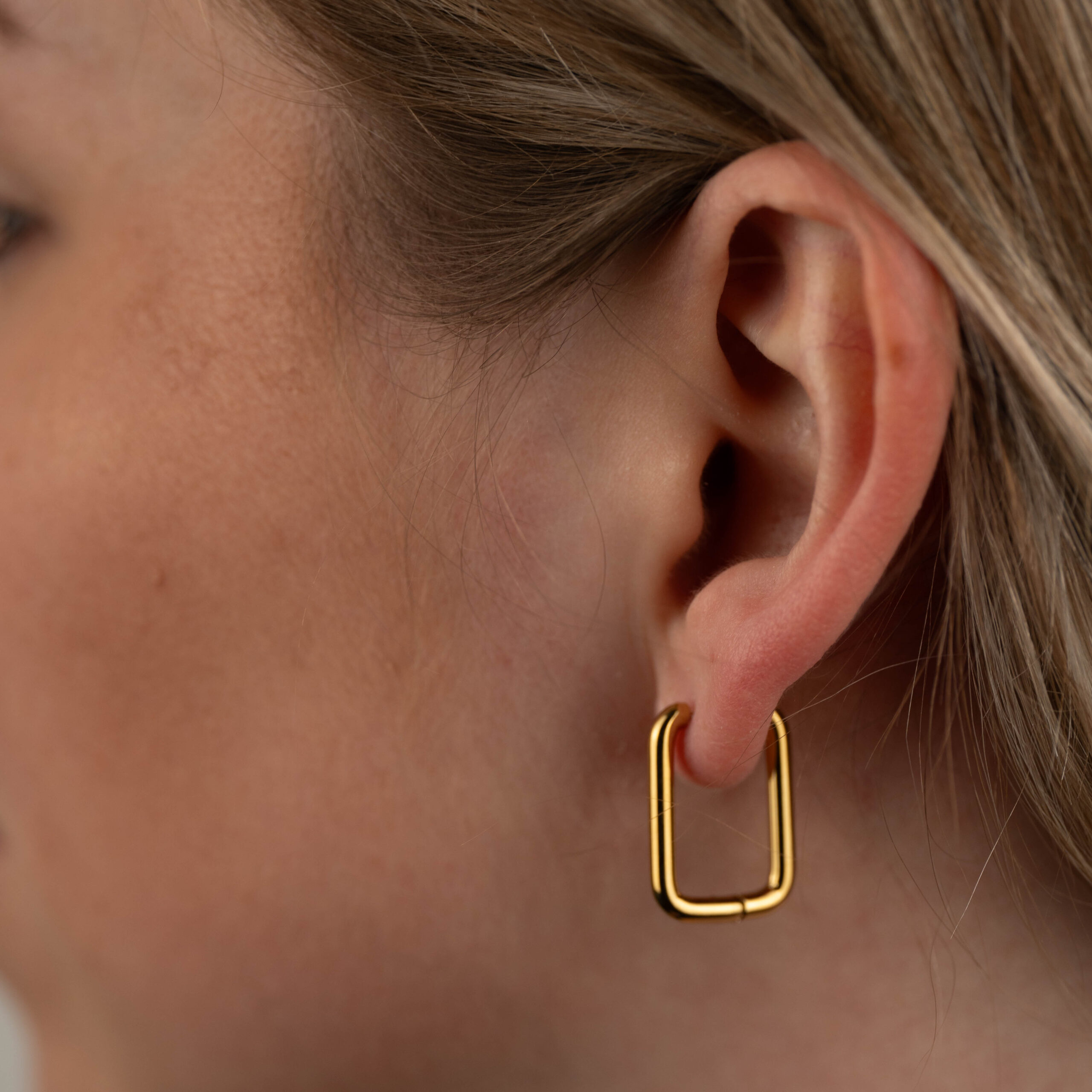 cc59efb8a1a6a9bd8954a9a182db8153